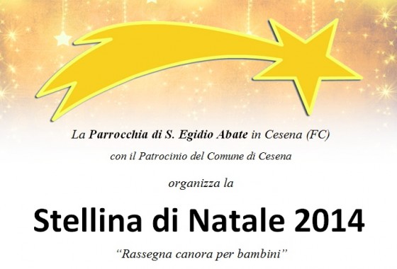 Stellina di Natale 2014