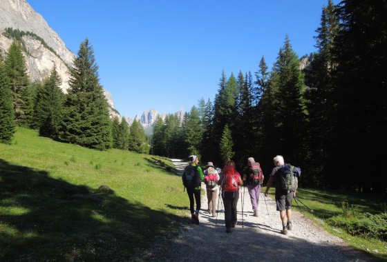foto montagna 2016